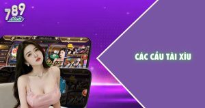 Các cầu tài xỉu